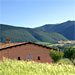 Agriturismo La Cascina di Opaco