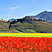 Agriturismo Castelluccio di Norcia