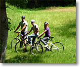 In bici nella ex ferrovia