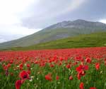 escursione sibillini trekking