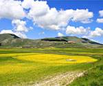 Fioritura Castelluccio di Norcia