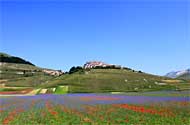 San Benedetto da Norcia