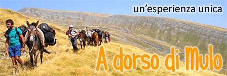 Trekking con i Muli e Asini
