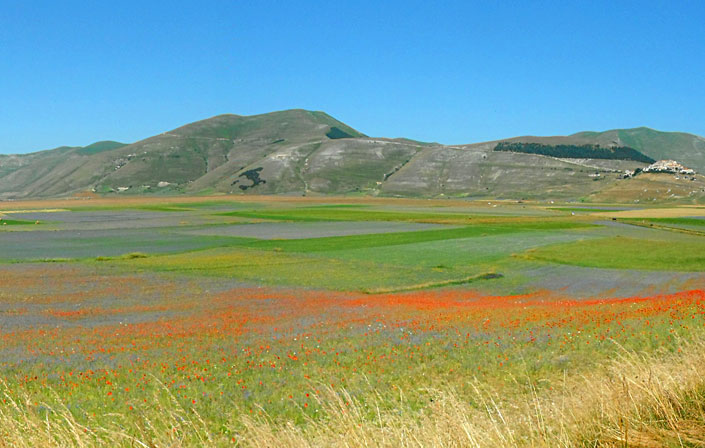 Pian Grande di Castelluccio di Norcia