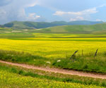 Pian Grande di Castelluccio di Norcia