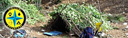 Survival Sibillini