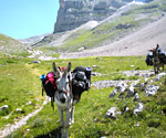 Trekking Muli Sibillini